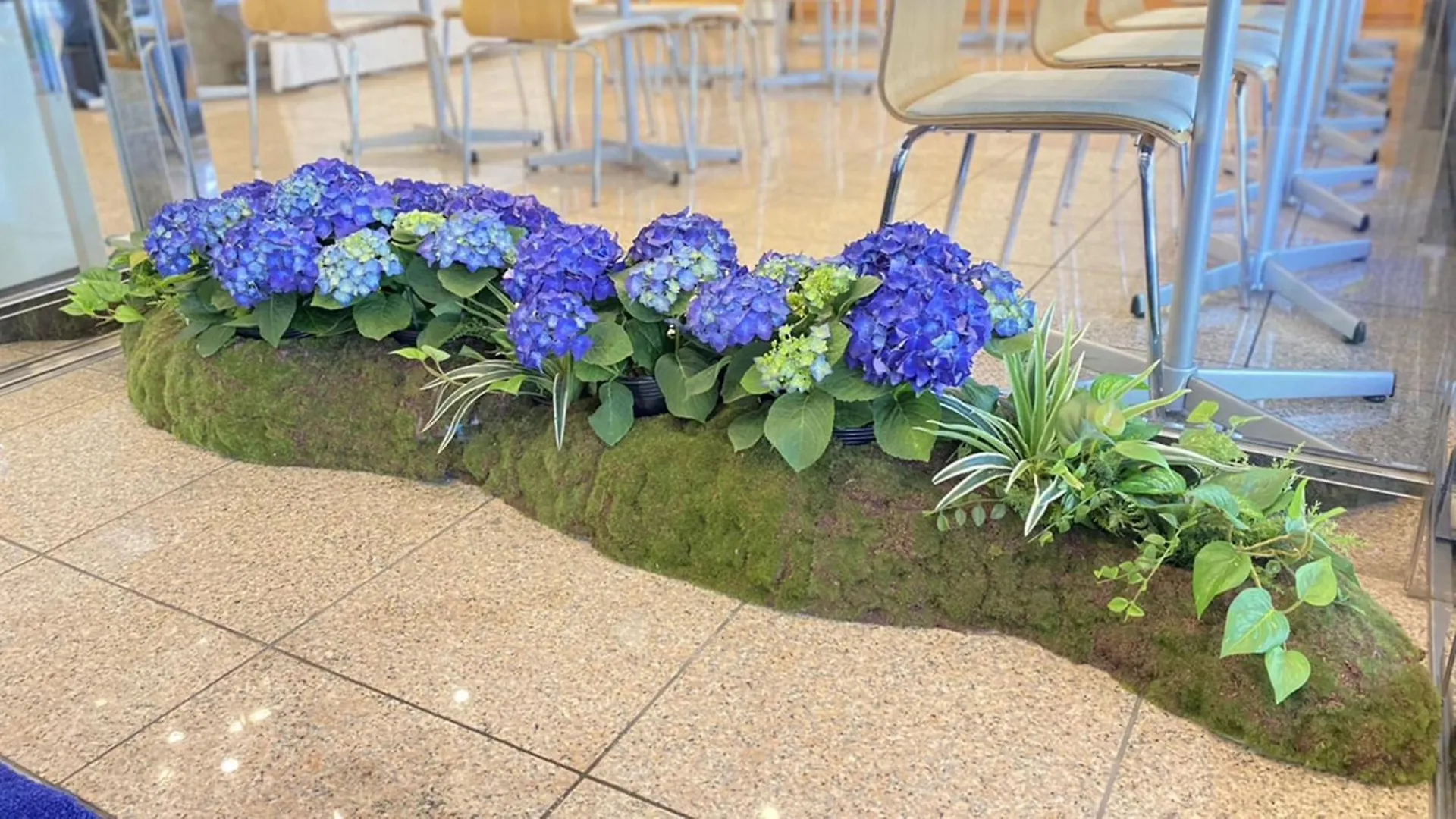 Toyoko Inn Kyoto Gojo-Karasuma Hotel